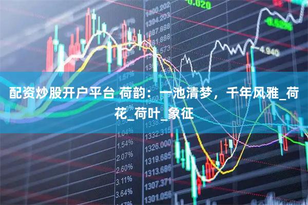 配资炒股开户平台 荷韵：一池清梦，千年风雅_荷花_荷叶_象征